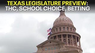 2025 Texas Legislature Preview | FOX 7 Focus