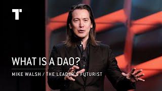 What Is A DAO? Will They Be The Future Of Business? | Mike Walsh | Futurist Keynote Speaker