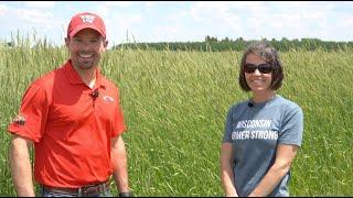 Bumper Crops: Roller Crimping Rye