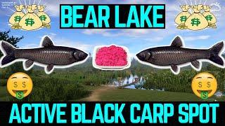 Russian Fishing 4 Bear Lake FAST & EASY Silver (Black Carp)