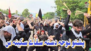 Pashto Noha || Dasta Saqye Sakina s.a || Azadari Jafria parachinar
