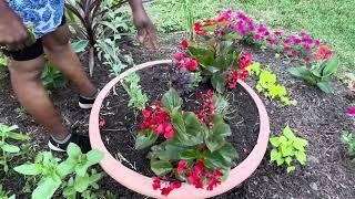 June Garden Tour: Under the Trees Island Garden, Front Yard Garden + Planting…