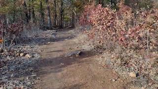 Hiking Bales Park trails in Tulsa, OK