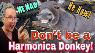 Don't Be A Harmonica Donkey  (#1 Pitfall of the Harmonica)