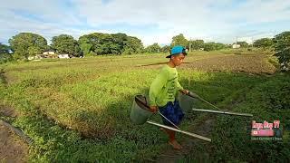 Magtanim ay di biro!/ Kuya Otep TV