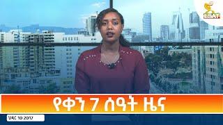 Ethiopia - Esat Amharic Day Time News 19 November 2024