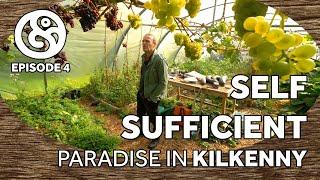 Brian Dillon's Edible Forest Garden | Bosco's Garden Tour | Ep4