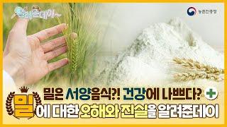 [알려준데이 2화] 밀에 대한 오해와 진실을 알려준데이[]~(￣▽￣)~*
