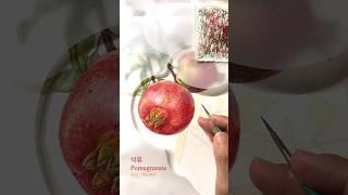 [Botanical Art] 석류/ Pomegranate/ 수채화/ 석류 열매의 질감을 표현하는 방법/ watercolor