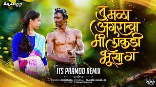 Tu Mala Anguracha (Remix) Its Pramod Remix | तु मळा अंगुराचा मी लाकडी भुसा गं | Ek Phool