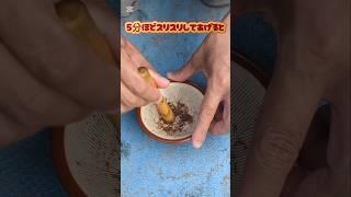 【グロ注意】メダカさんに、まさかの巨大◯◯◯をすり潰して与えてみた結果⋯　#メダカ #アクアリウム #shorts  #やってみた