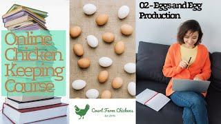 Eggs and Egg Production, how an egg is made, how to sell eggs - Chicken Keeping Course - Part 2