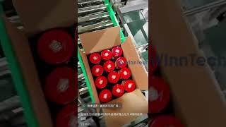 Cans Bottles Secondary Packaging_Sorting+Pick Place Robot+Carton Erector+Carton Sealer #automation