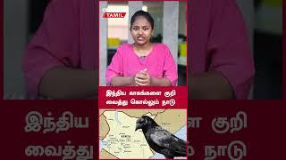 இந்திய காகங்களை குறி வைத்து கொல்லும் நாடு...எதற்காக? | Kenya Crows Issue | Oneindia Tamil