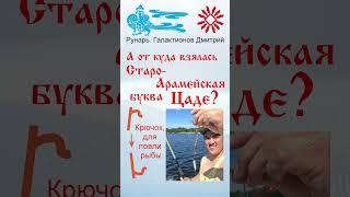 Арабская Буква Дзаад, рожденная от Руны Цель. #Рунарь #АрабскаяАзбука #Руны #ГалактионовДмитрий