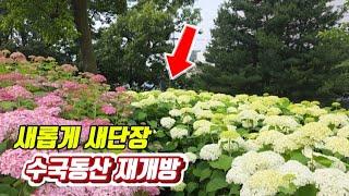  새로 개통! 지하철역에서 바로 시작하는 트레킹 코스/혼자만 알고 싶은 숨은 둘레길/대중교통 당일치기 여행