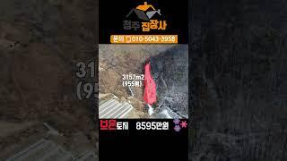 주말농장 농막터 / 외떨어진 나만의공간 / 달천강이 보이는 / 1억미만 토지 / 청주땅,시골땅,시골집,농막,전원주택,충북땅,귀농귀촌