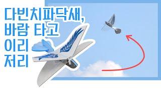 [메이커스 주니어] 바람을 타고 이리저리 날아다니는 다빈치파닥새