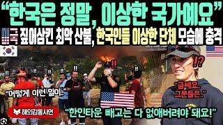 《해외감동사연》"한국은 정말, 이상한 국가예요" 미국 짚어삼킨 최악 산불, 한국인들 이상한 단체 모습에 충격