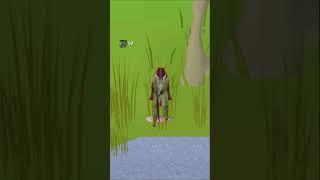 Top 3 AFK Fishing Spots in OSRS