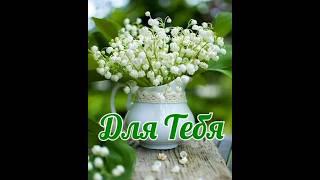 Весеннего настроения, мира и радости️