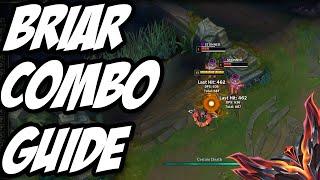 Briar Combo Guide! (Briar Animation Cancels) Rank 1 Briar!