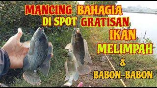 MANCING BAHAGIA DI SPOT GRATISAN..!! Disini Ikannya MELIMPAH & BABON-BABON