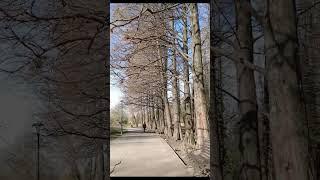 #shorts Plimbare Iarna in Gradina Botanica din Craiova | Romania Walking Tour