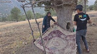 “Making Caper on the Mountain: The Story of a Poor Family in Difficult Living Conditions”