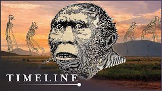 The Discovery Of The Earliest Human Ancestor | First Human | Timeline