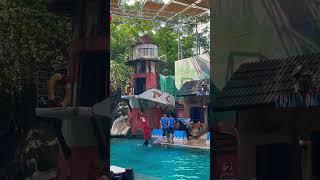 Sea Lion Show : Safari World - Animal park,  Bangkok, Thailand