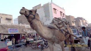 BIKANER - Old City - Exotic Rajasthan