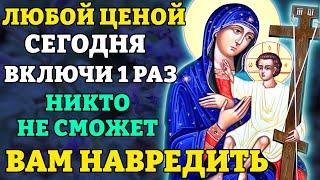 Сегодня ВКЛЮЧИ И НИКТО НЕ СМОЖЕТ ТЕБЕ НАВРЕДИТЬ! Молитва Богородице Новоникитская. Православие