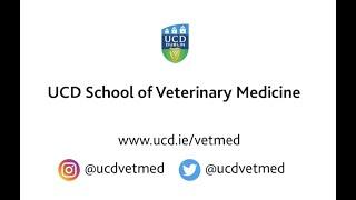 Welcome to the UCD School of Veterinary Medicine