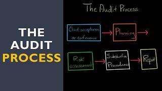 The Audit Process