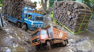 truk BLARAK LOAGING KAYU AKASIA DI HUTAN ‼️RC HINO RANGER JUMBO VS FUSO BELAP SUPER GRET TRIBAL