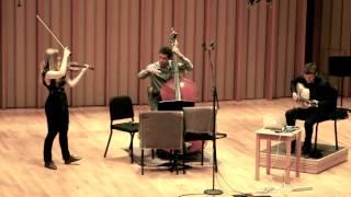 Trio Dinicu: Whistle Hora (G. Dinicu) - Luanne Homzy, violin - Tommy Davy, guitar