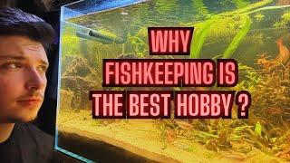 Here Are 5 Reasons Fishkeeping Is The Best Hobby!