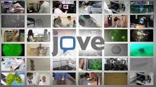 How to Create a JoVE Test