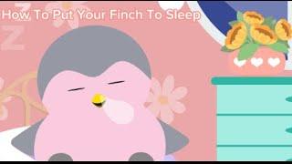 How To Put Your Finch To Sleep - Tutorial