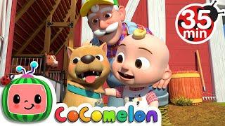 Bingo (Farm Version) + More Nursery Rhymes & Kids Songs - CoComelon