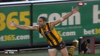 2013 Preliminary Final - Hawthorn Vs Geelong (SEN commentary)