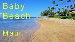 Baby Beach Lahaina Maui #1 Family Beach. Awesome Sunsets! Calm Waters