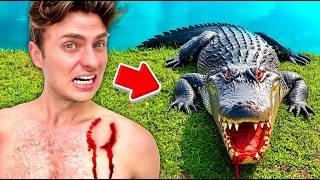 We Found An ALLIGATOR In Our Backyard!