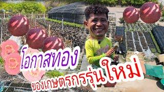 พลิกที่ดินสู่ทองคำ: ปลูกฝรั่งแดงอโยธยา รวยได้ไม่รู้ตัว"