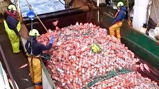 Life On Germany's Largest Deep-Sea Trawler