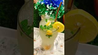 Virgin Mojito | Lemon Mojito | Mocktail #virginmojito #viralvideo #viral #shorts #trending #food