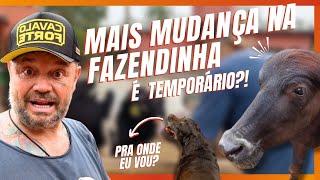 MAIS MUDANÇAS NA FAZENDINHA! | A CASA DOS BICHOS