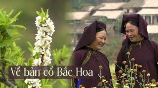 Về bản cổ Bắc Hoa | SẮC MÀU CÁC DÂN TỘC | VTV5