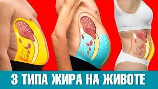 3 типа жира на животе: какой из них у вас?